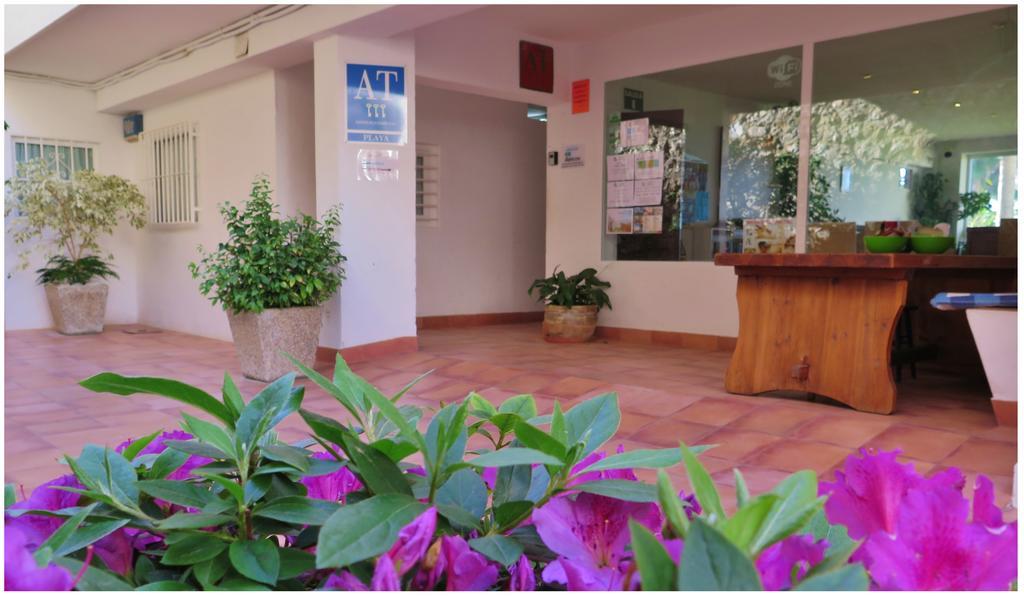 Apartament Playa Torrecilla *